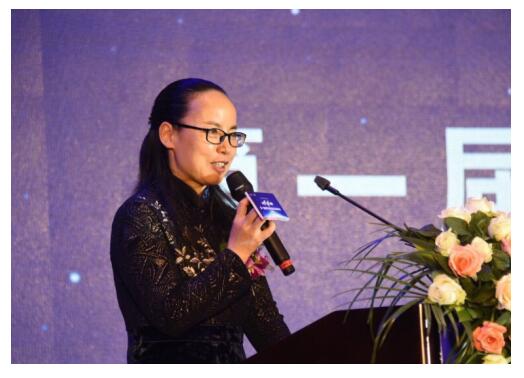 共识共建国际邵阳《第一届铜锣湾城市商业全球峰会》4月26日举行。