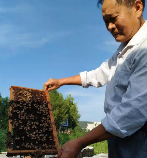 余天和 荣获由历晨网络科技主办“中医康复理疗专家”三等奖。