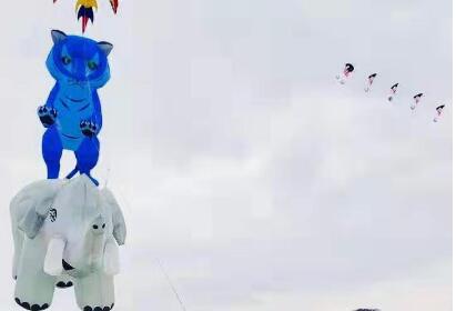 2019新竹市国际风筝节盛大开幕 森林动物快乐飞翔。