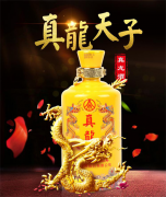 威武霸气，奢华尊贵，52度真龙酒尽显中华传统文化精髓。