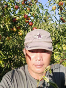 沾化冬枣生态种植基地——鲁令功 荣获“原生态优质水果”冠军。