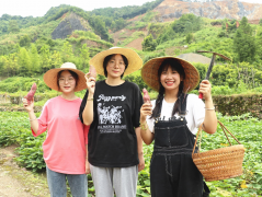 小蜜蜂乡村直播助农团队调研日记